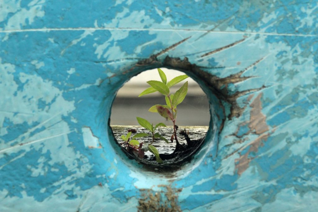 conseils résilience-psychologie-développement personnel